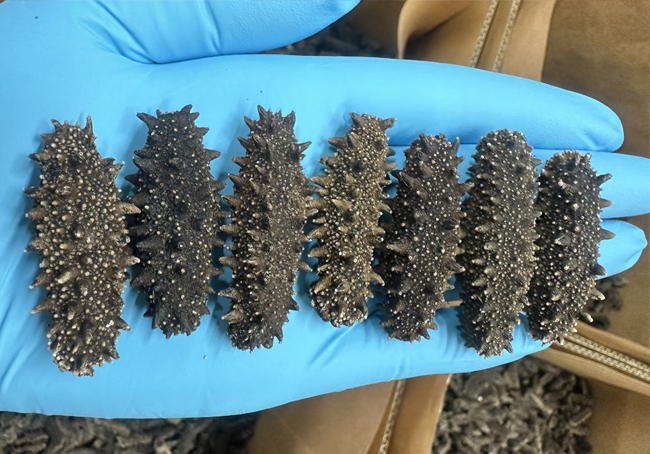 取扱い商品｜北海道水産株式会社